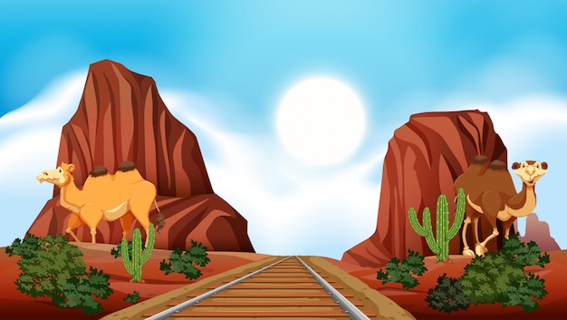 Railroad through the desert 