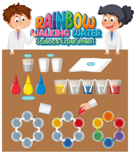 Rainbow walking water science experiment