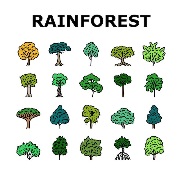 rainforest jungle amazon nature icons set vector forest landscape brazil tree green asia environment river beautiful wild foliage rainforest jungle amazon nature color line illustrations