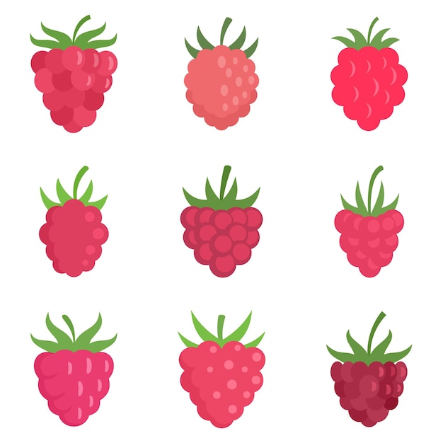 Raspberry icons set. Flat set of raspberry vector icons isolated on white background