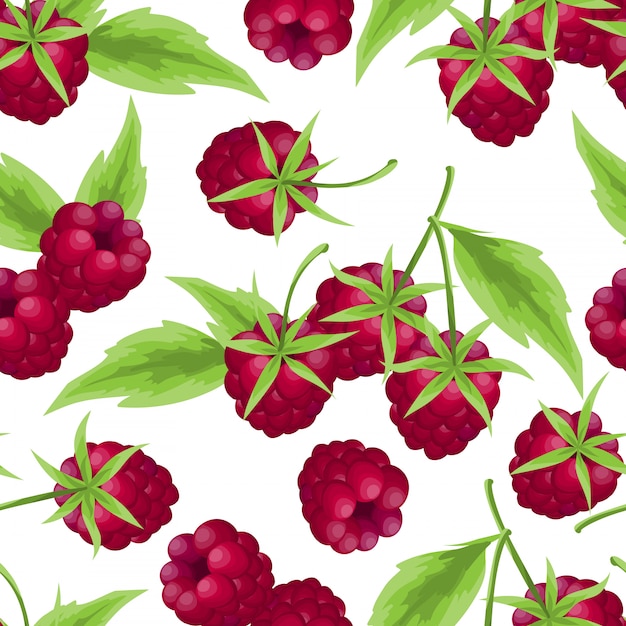 Raspberry seamless pattern.