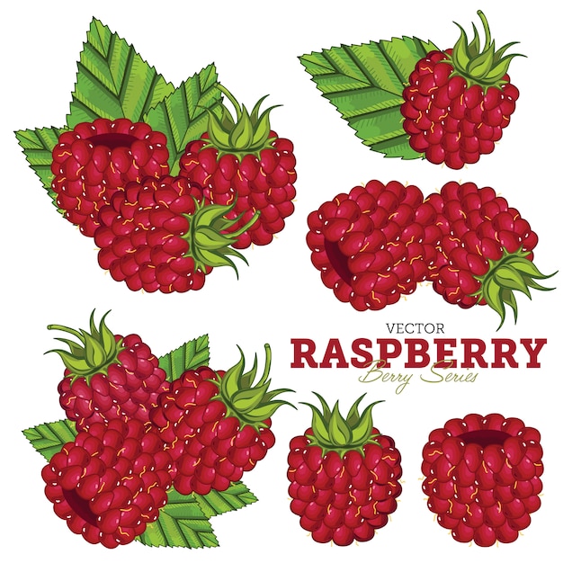 Raspberry Set