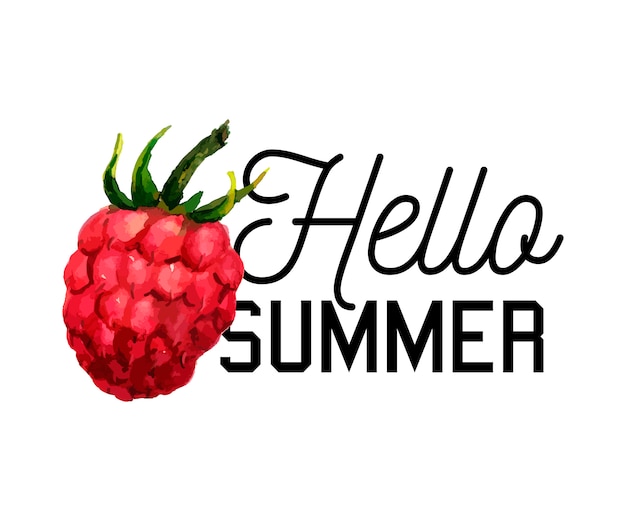 Raspberry watercolor illustration  hello summer slogan