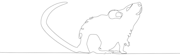 Rat mouse continuous line drawing One hand drawn single lineart style