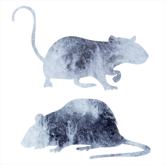 Rat, mouse watercolor silhouette on white background, isolated, vector