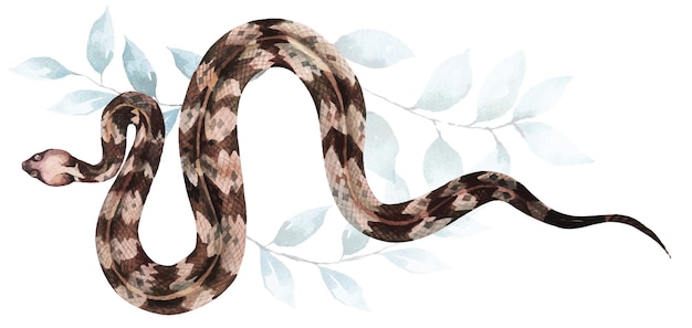 Rattlesnake with watercolor.Snake painted with watercolors.Poisonous and dangerous reptiles.