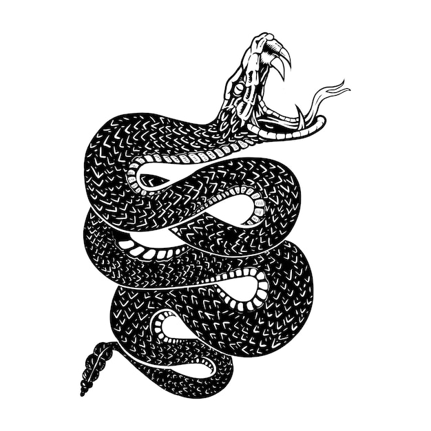 Vector rattlesnakes, line illustrations, sketch lines