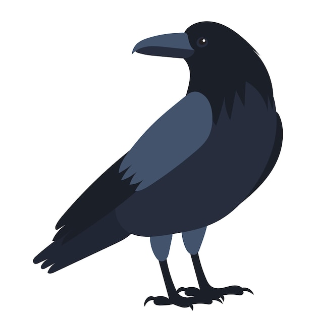 Vector raven flat design isolated vector