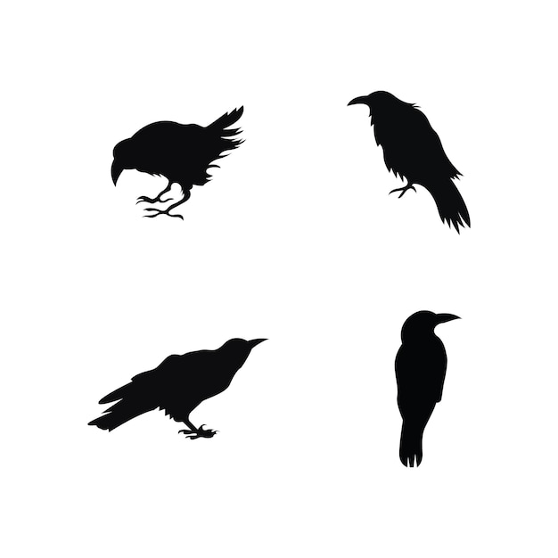 Raven icon vector illustration template design