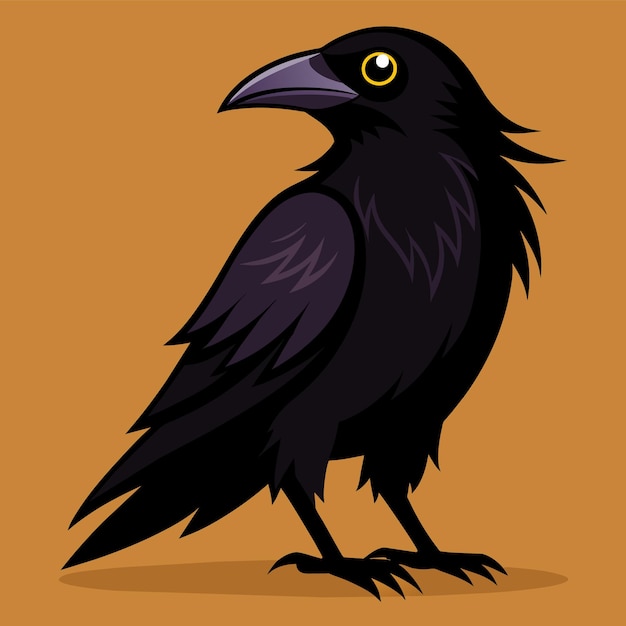 raven vector illustration