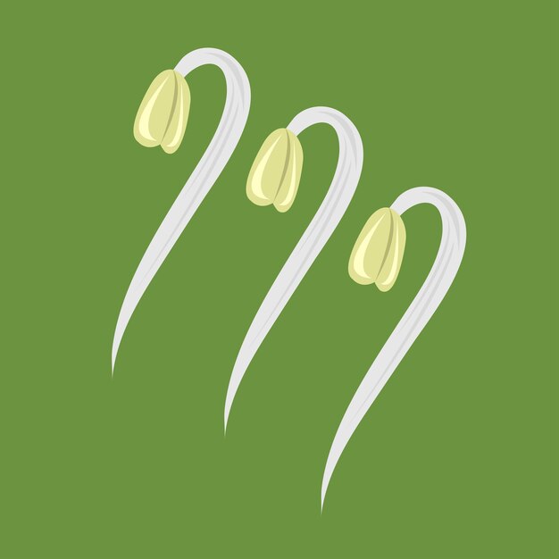 Vector raw bean sprouts vector illustration