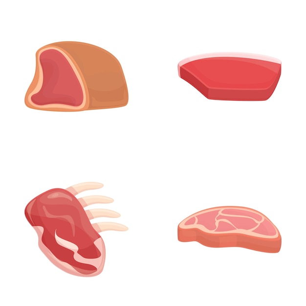 Raw meat icons set cartoon vector Different type of meat product