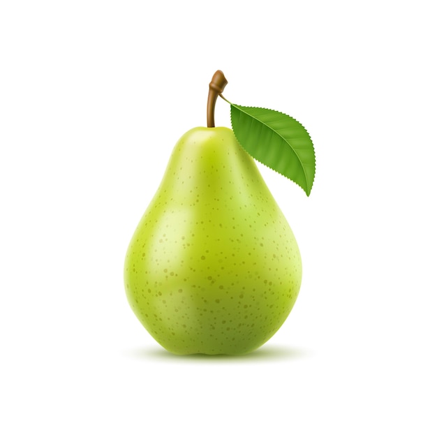 Raw realistic green pear whole fruit with leaf