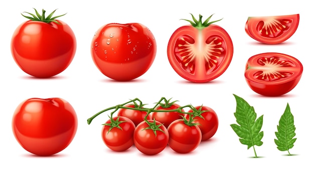 Raw realistic ripe red tomato whole and slice