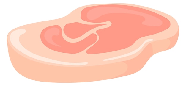 Raw sirloin steak Cartoon pork meat icon