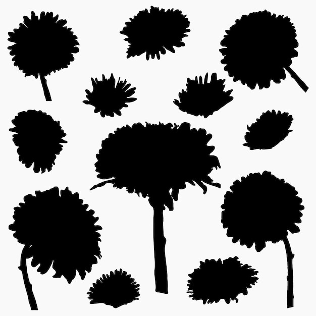 Real modern silhouettes plants herbs Drawing flowers aster Flat design template Isolated vector