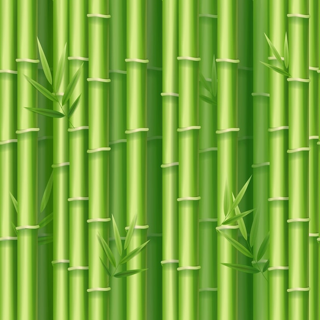 Realistic 3d Detailed Bamboo Shoots Background Vector