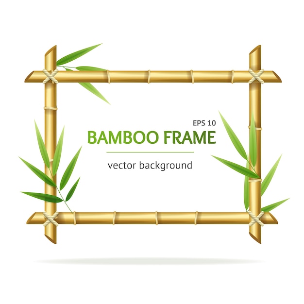 Realistic 3d Detailed Bamboo Shoots Frames Set Vector