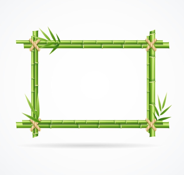 Realistic 3d Detailed Bamboo Shoots Frames Set Vector