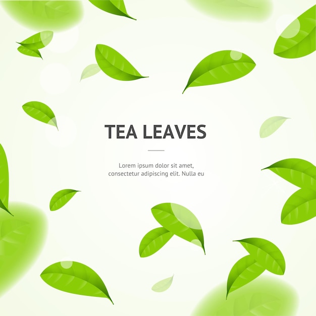 Realistic 3d Detailed Elements Vibrant Green Tea Leaves Concept Banner Card Background Vector