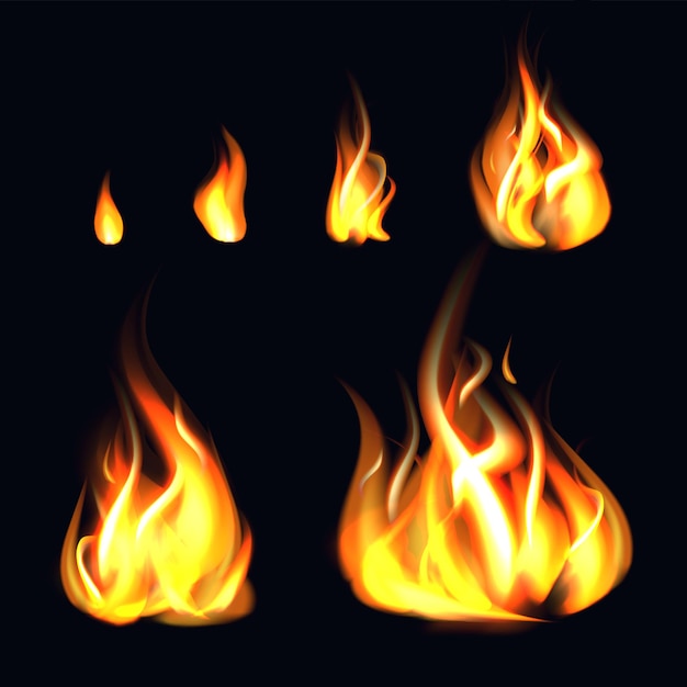 Vector realistic 3d detailed fire flame set vector