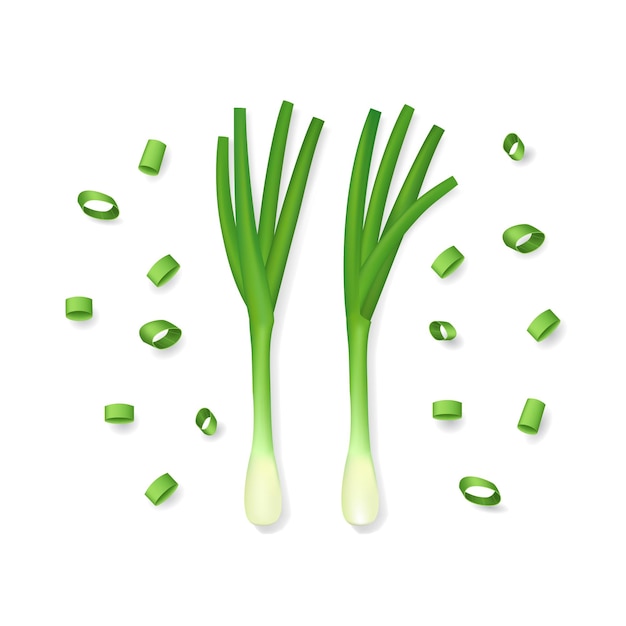 Realistic 3d Detailed Spring Onions Vector