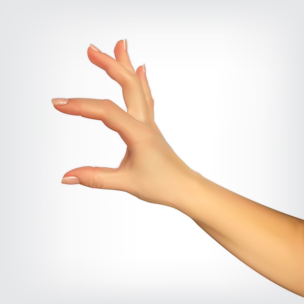 Realistic 3D Silhouette of hand showing the size your fingers, the ability to insert something  