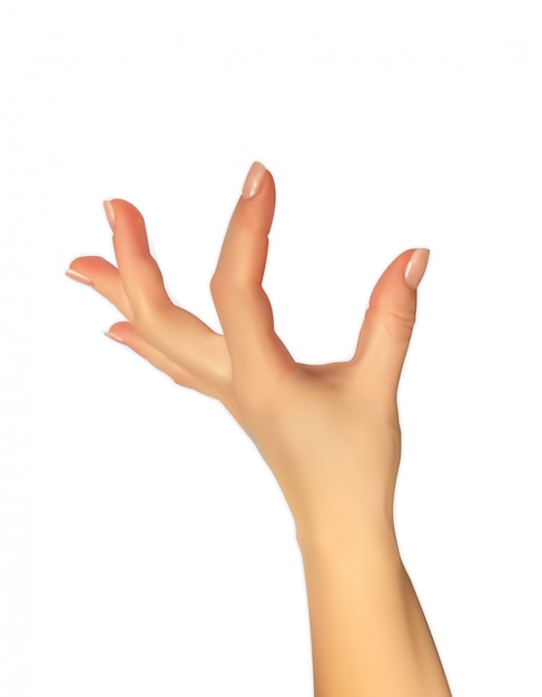 Realistic 3D Silhouette of hand showing the size your fingers, the ability to insert something  