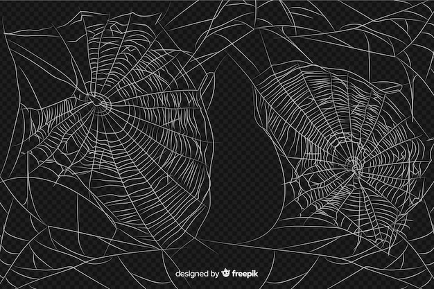 Realistic abstract design of cobweb