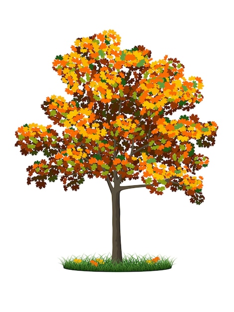 Realistic autumn tree and grass on a white background