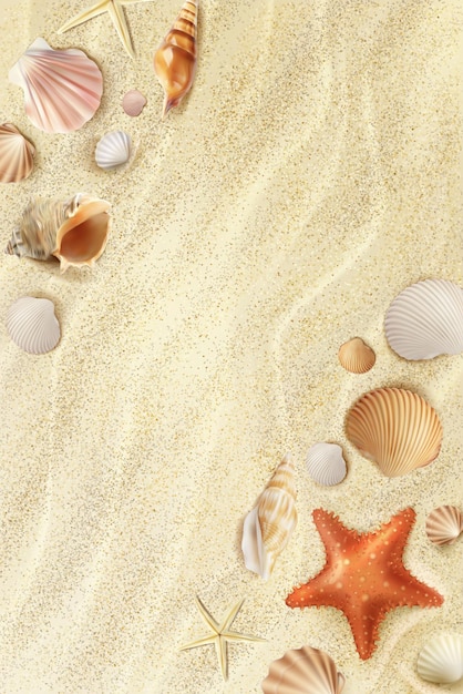 Vector realistic beach seaside top view with seashells