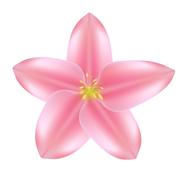 Realistic beautiful 3d sprind and summer pink flower icon.