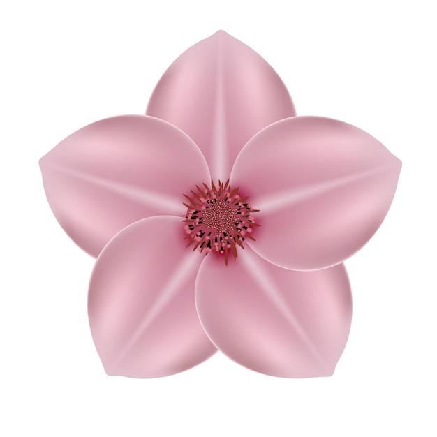 Realistic beautiful 3d sprind and summer pink flower icon