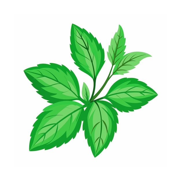 Vector realistic beautiful herbs vector illustration