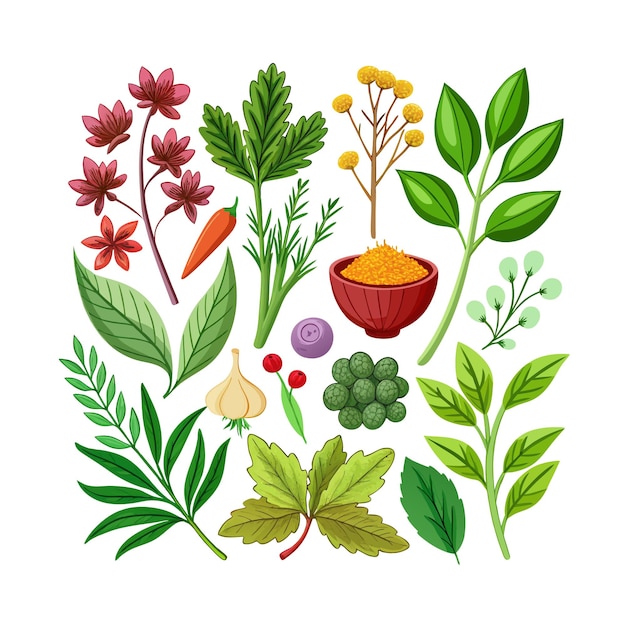 Vector realistic beautiful herbs vector illustration