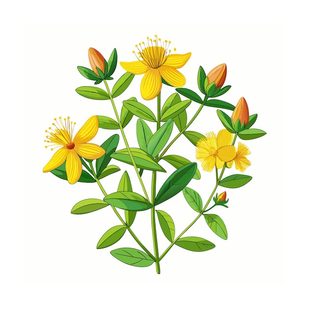 Vector realistic beautiful herbs vector illustration