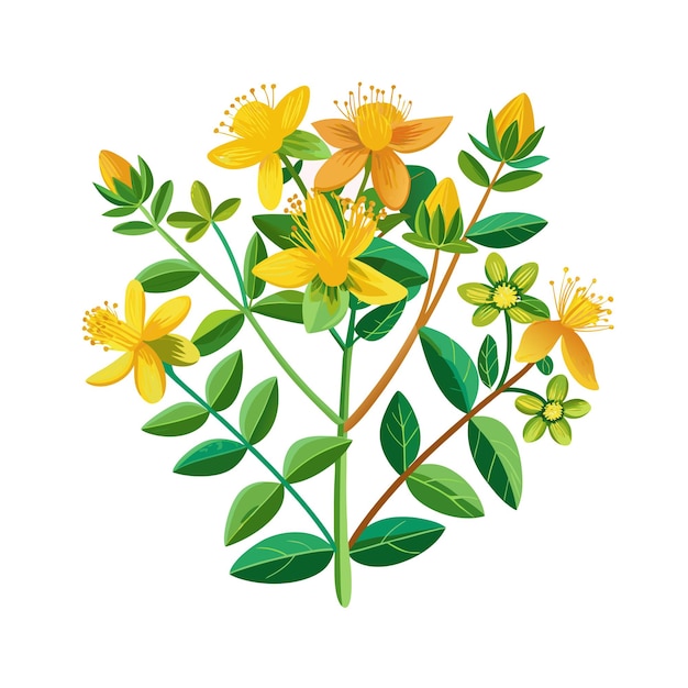 Realistic Beautiful Herbs Vector Illustration