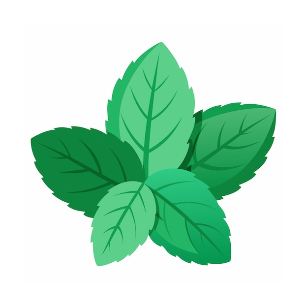 Realistic Beautiful Leaves Vector Illustration