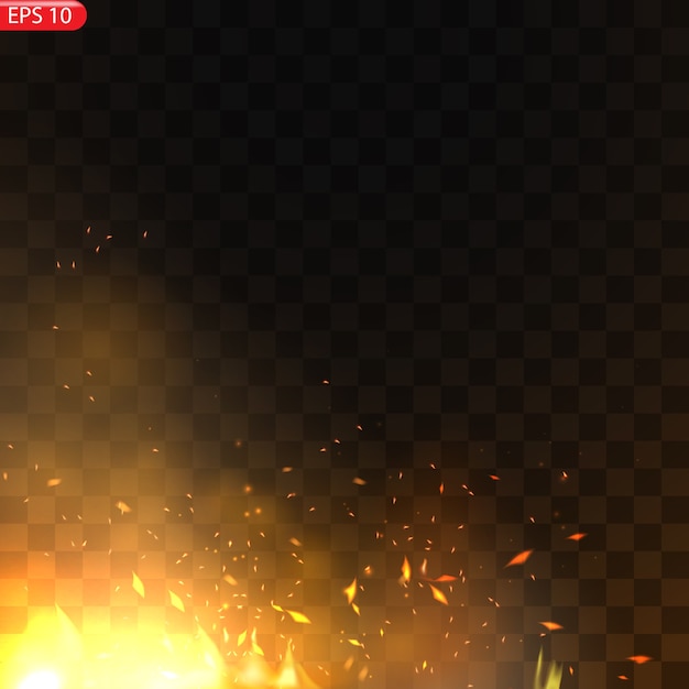 Realistic burning fire flames   effect with transparency  