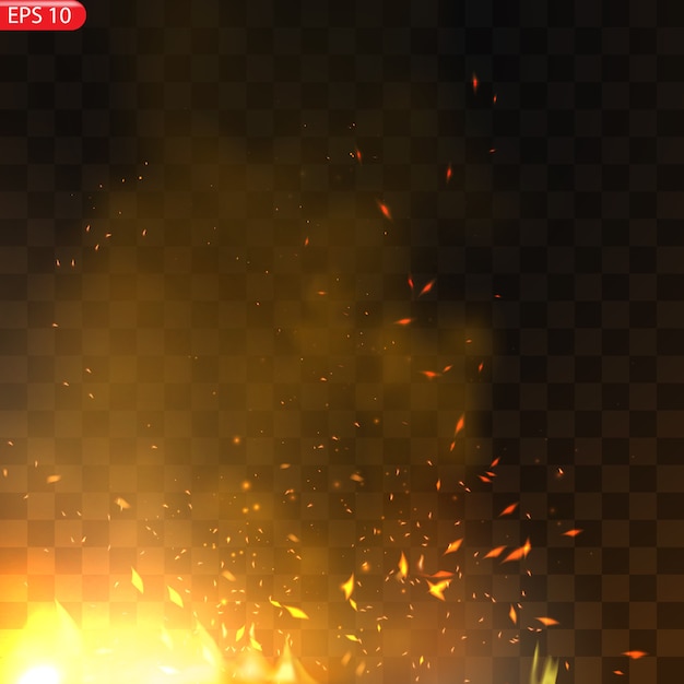 Realistic burning fire flames   effect with transparency  