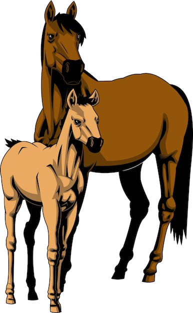 Realistic Cartoon Mare And Foal Horse. Vector Hand Drawn Illustration