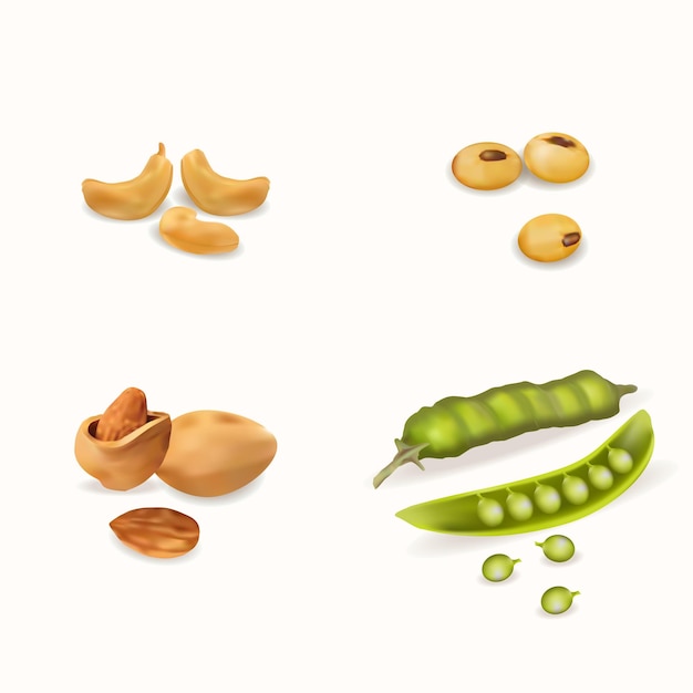 Realistic cashews, peas, almonds and soybeans