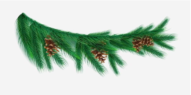 Realistic Christmas branch with cones illustration