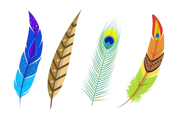 Realistic colorful feather of birds set. goose feathers of various shapes and colors.  goose feather