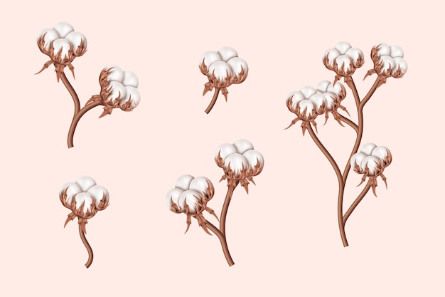 Realistic cotton branches with flowers beautiful stems with white blossoms natural fiber bolls