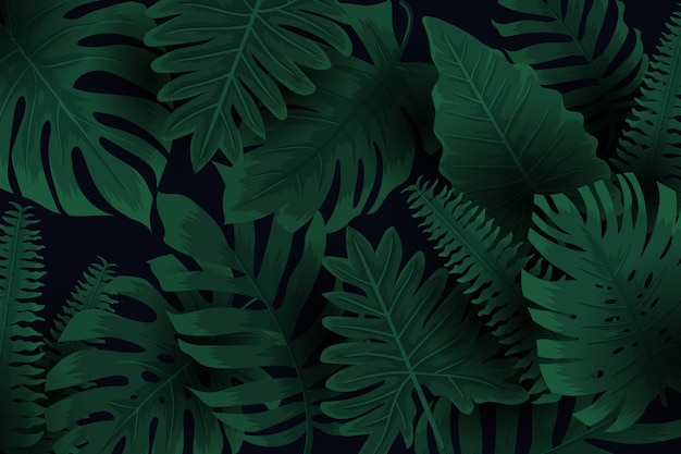 Realistic dark tropical leaves background