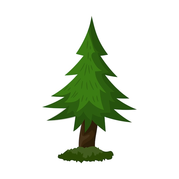 Realistic dense green spruce isolated on white background  Vector illustration