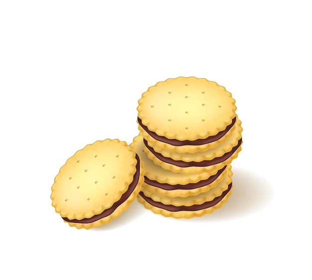 Realistic Detailed 3d Biscuits Cookies or Sandwich Biscuit Delicious Food Vector illustration of Candy Snack Homemade or from Bakery