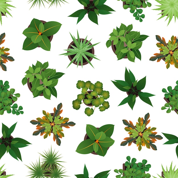 Vector realistic detailed 3d top view green plants seamless pattern background on a white for home and office vector illustration of plant or houseplant