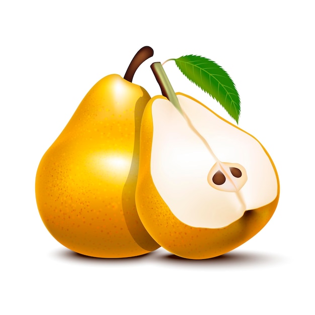 Realistic Detailed 3d Whole Pear and Slices Vector